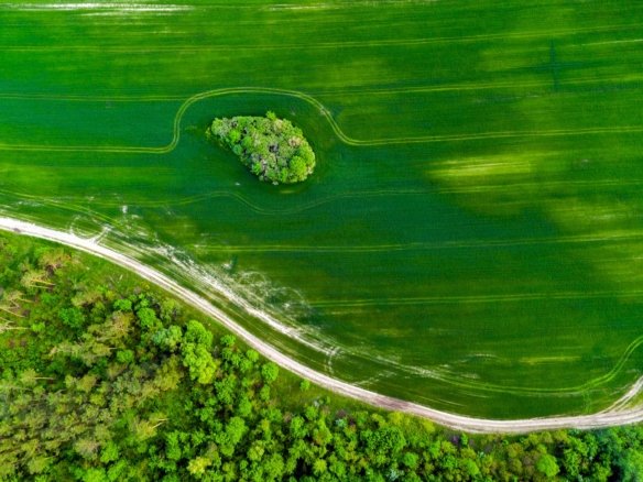Farm For Sale